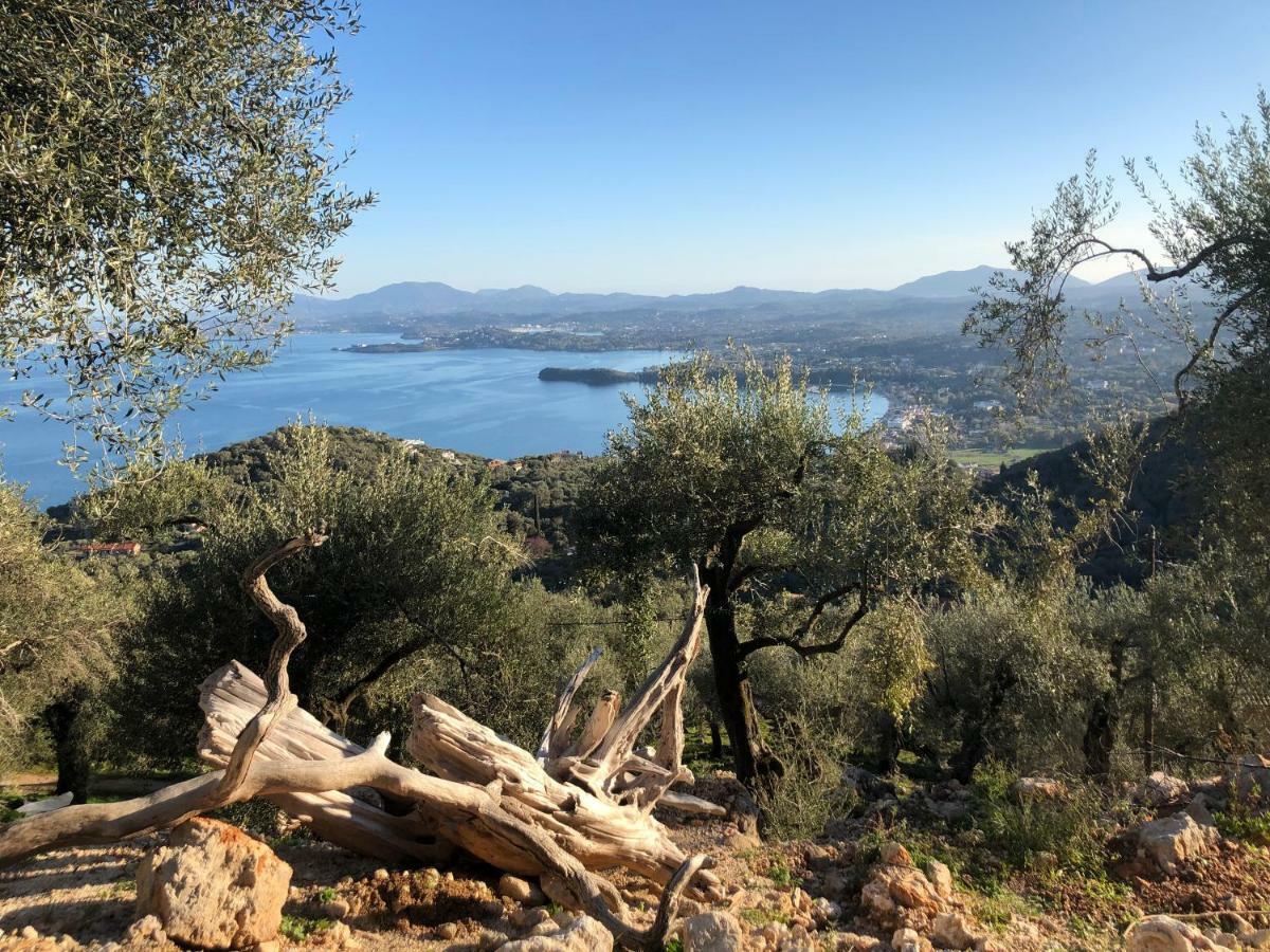 House Tanna Of Villa Intaba Spectacular Sea Views Corfiot Riviera Spartilas Corfu Island Greece Close To Ipsos Beach Spartylas Eksteriør bilde